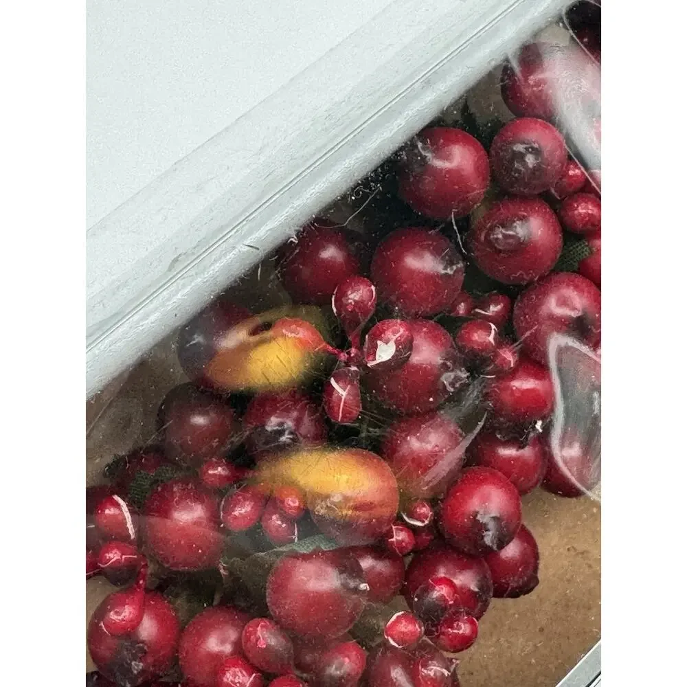 Restoration Hardware Winterberry Festive Red Pillar Ring 7